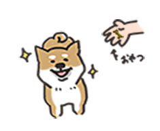 「おやつですか！？」